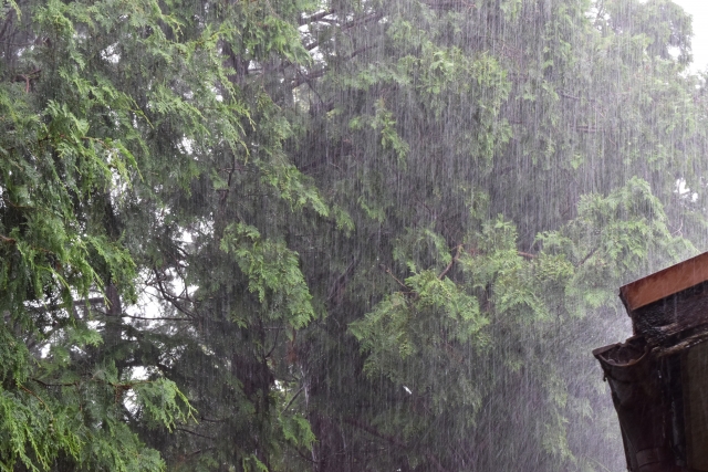 ゲリラ豪雨の原因