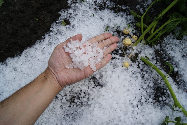 雹の仕組み