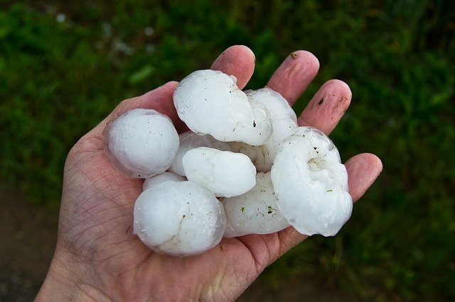 雹で死亡