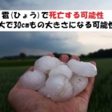 雹で死亡する可能性だと?雹の最大の大きさはカボチャ大!?