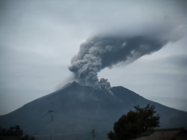 富士山　噴火　被害