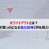 ホワイトアウトとは?猛吹雪により視界や方向感覚を奪われる現象