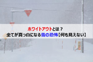ホワイトアウトとは？猛吹雪により視界や方向感覚を奪われる現象