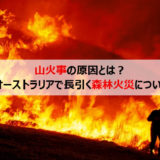山火事の原因とは?オーストラリアで長引く森林火災について