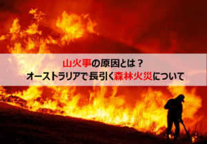 山火事の原因とは？オーストラリアで長引く森林火災について